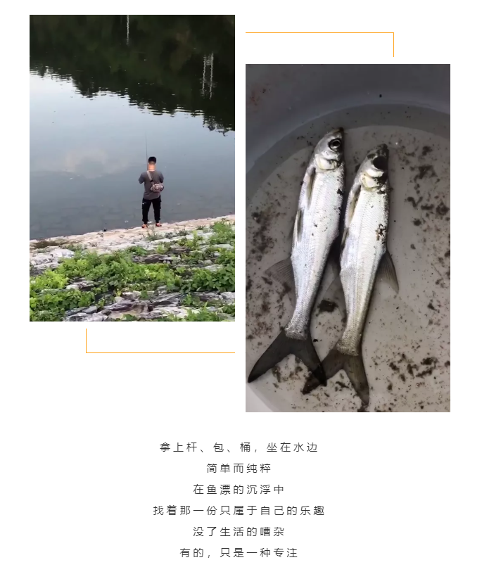 秋天了，來一場(chǎng)成年人的秋游吧(圖5)